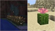 Players can decorate their base using firefly bushes and cactus flowers (Image via Sportskeeda Gaming || Mojang Studios)